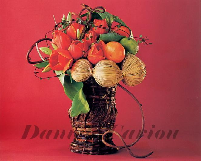 Photo d'art floral,composition P69