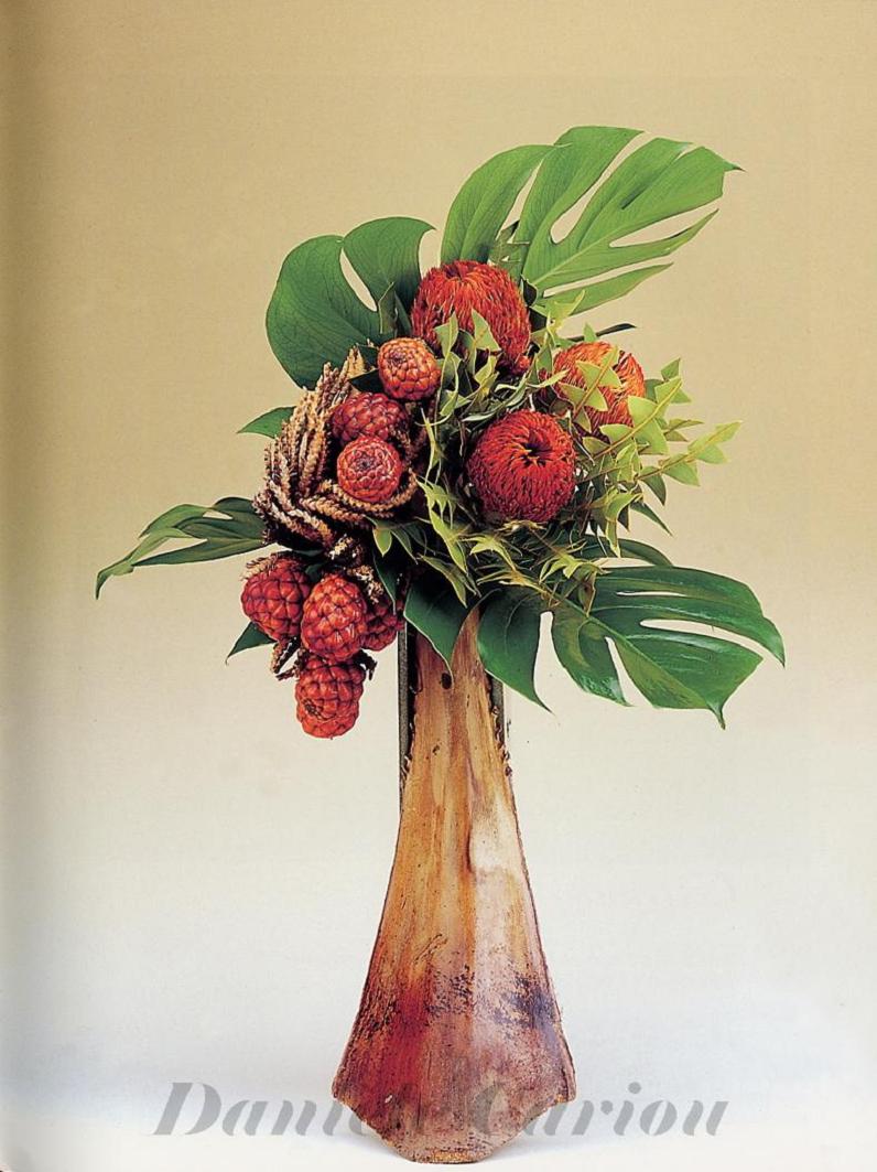 Photo d'art floral,composition P77