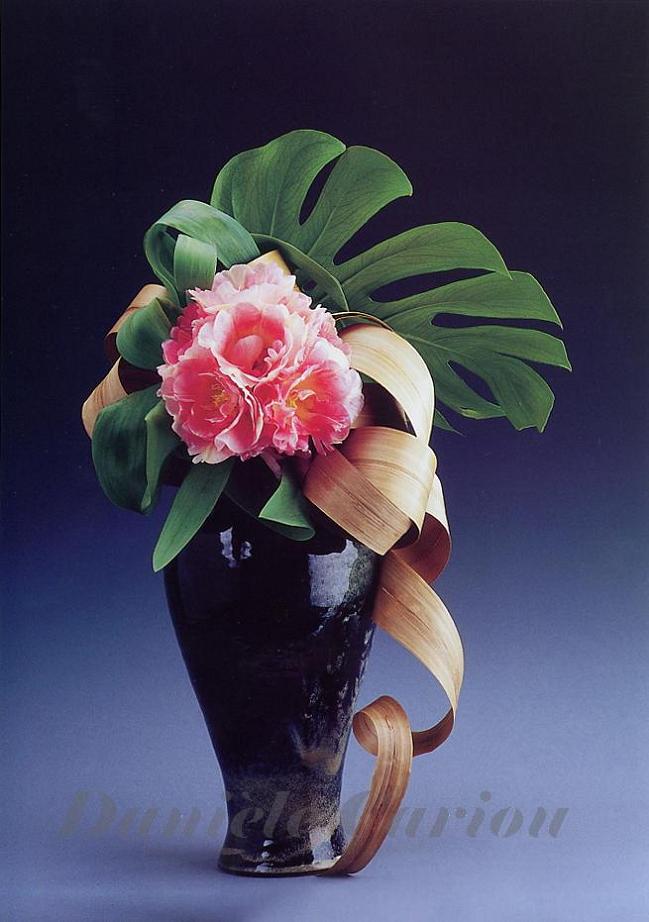Photo d'art floral,composition P81